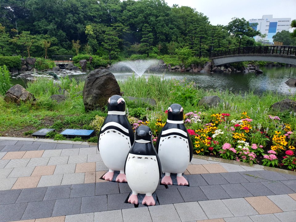 Shinagawa Aquarium 26