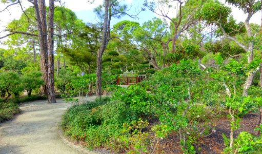 Shinden Garden - Morikami Museum and Japanese Gardens - Palm Beach County, Florida - DSC03308