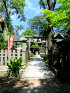 Shirakumo jinja 021