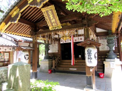 Shirakumo jinja 009