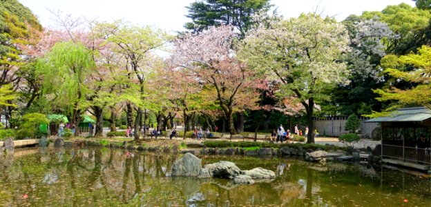 Shinchi Teien (神池庭園) - Yasukuni Shrine - Tokyo, Japan - DSC06128