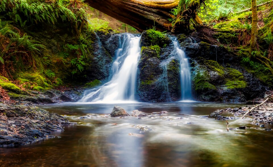 Stream creek brook photo