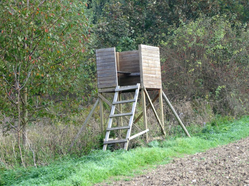 Shooting stand near Hainich reservation 3