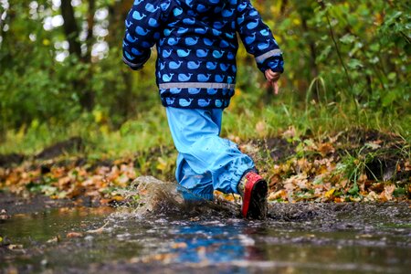 Autumn raining leaves photo