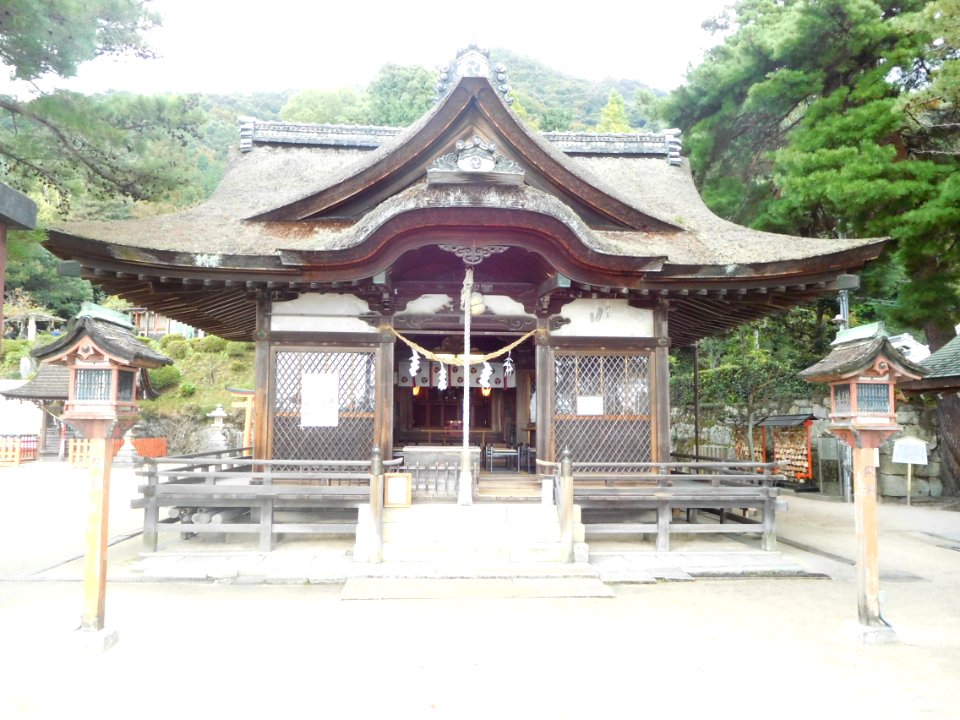 Shirahige-Jinja nov2016 16
