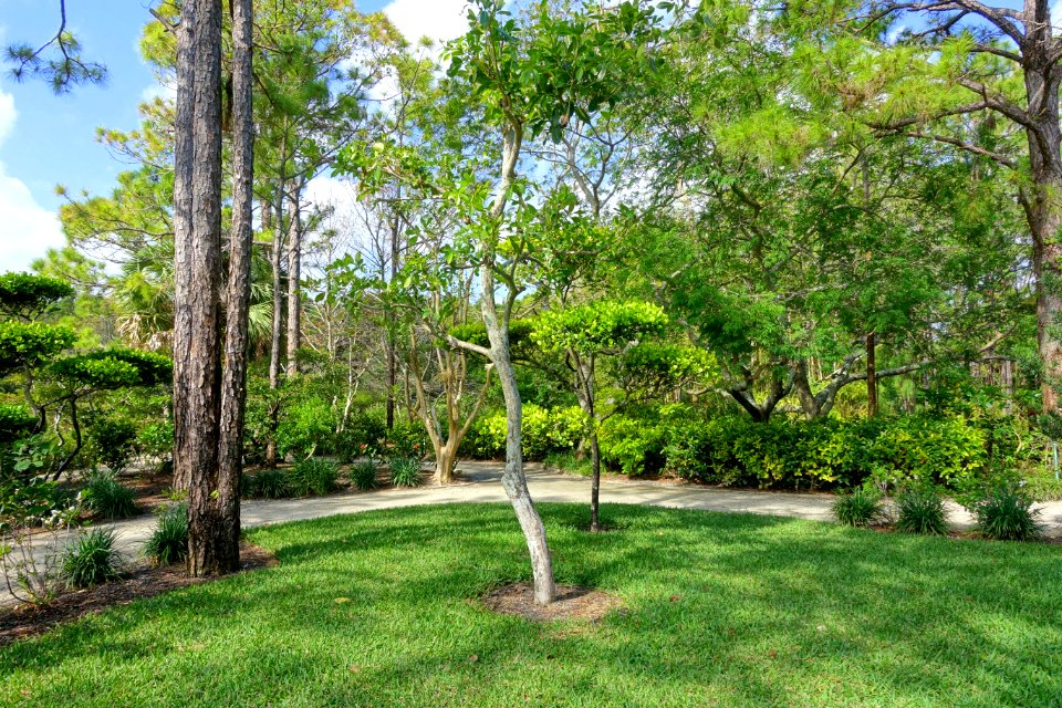 Shinden Garden - Morikami Museum and Japanese Gardens - Palm Beach County, Florida - DSC03324