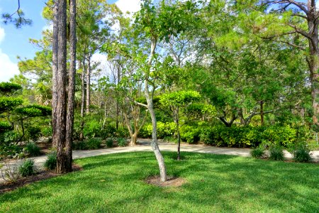Shinden Garden - Morikami Museum and Japanese Gardens - Palm Beach County, Florida - DSC03324