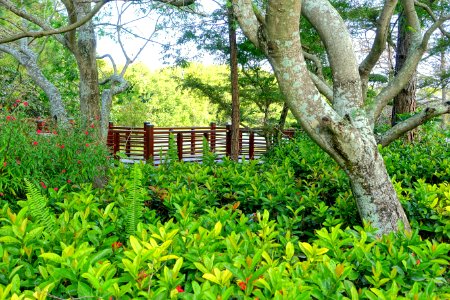 Shinden Garden - Morikami Museum and Japanese Gardens - Palm Beach County, Florida - DSC03328