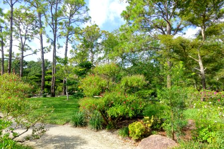 Shinden Garden - Morikami Museum and Japanese Gardens - Palm Beach County, Florida - DSC03318
