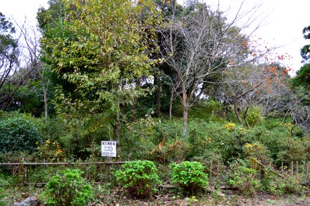 Shintoyama-kofun