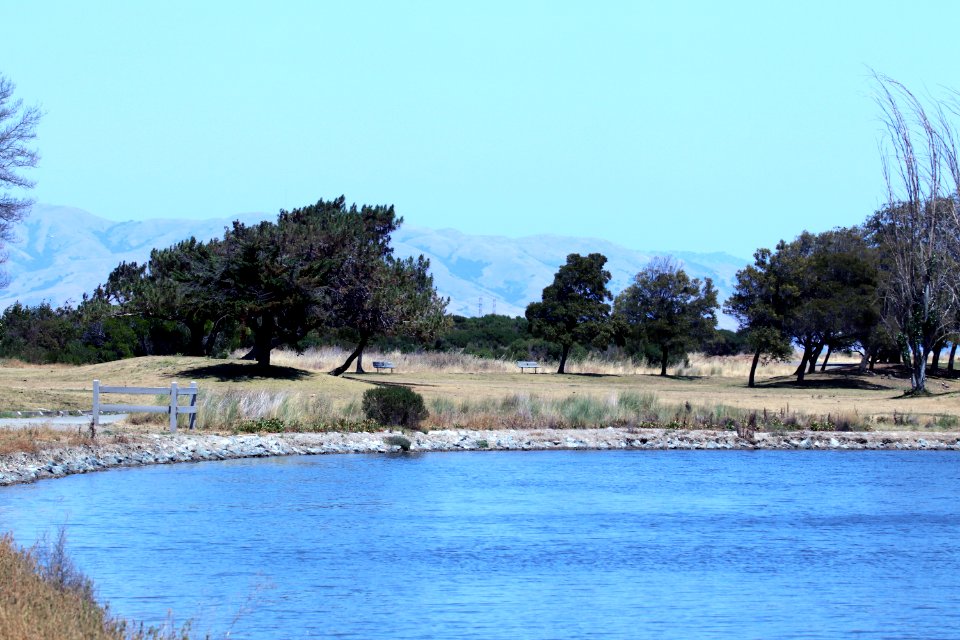 Shoreline Park Mountain View California IMG 2677