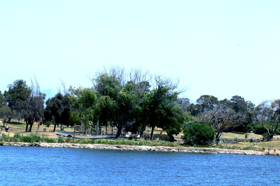 Shoreline Park Mountain View California IMG 2682