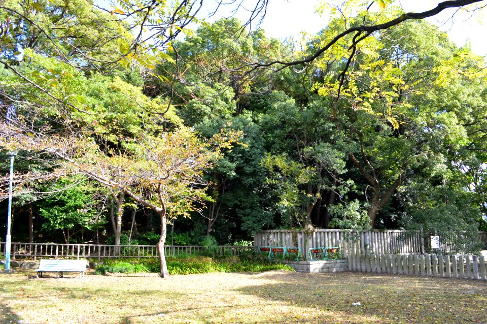 Shiratori-kofun (Nagoya) zenkei