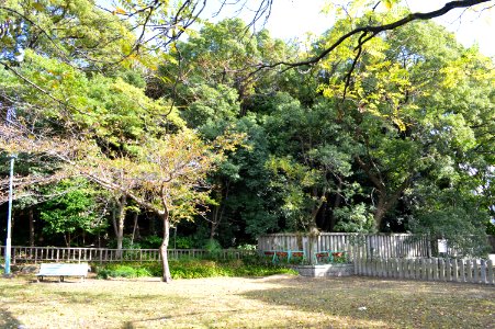 Shiratori-kofun (Nagoya) zenkei