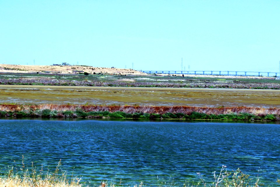 Shoreline Park Mountain View California IMG 2490
