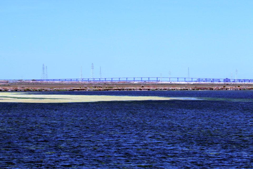 Shoreline Park Mountain View California Salt marsh IMG 2386