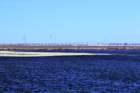 Shoreline Park Mountain View California Salt marsh IMG 2386