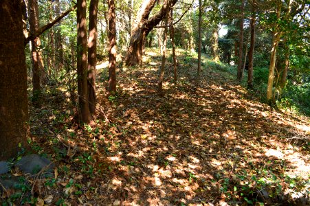 Shiratori Kofun (Hirao, Shimane), zenpoubu