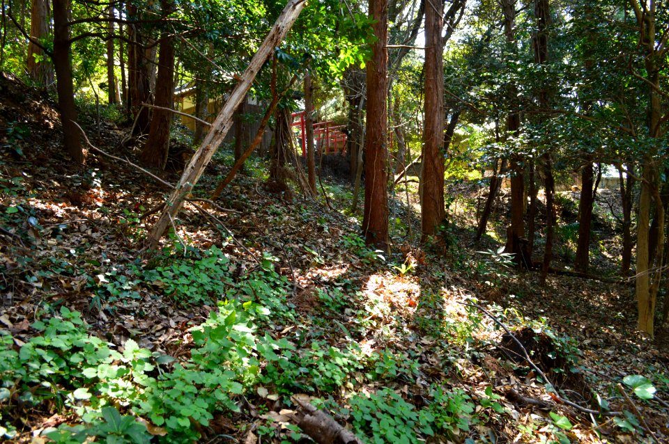 Shiratori Kofun (Hirao, Shimane), funkyu