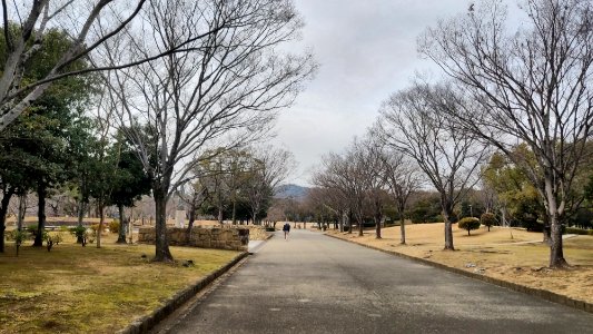 Shirotopia Memorial Park