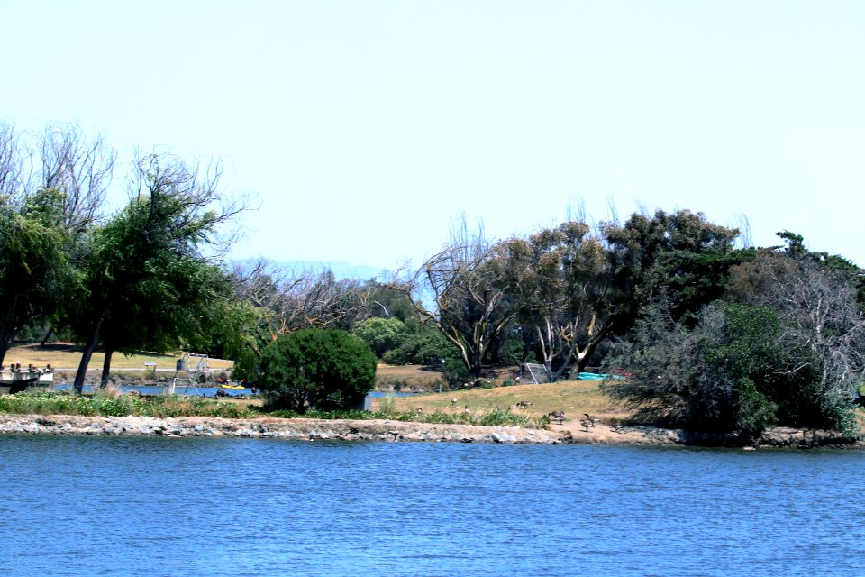 Shoreline Park Mountain View California IMG 2688