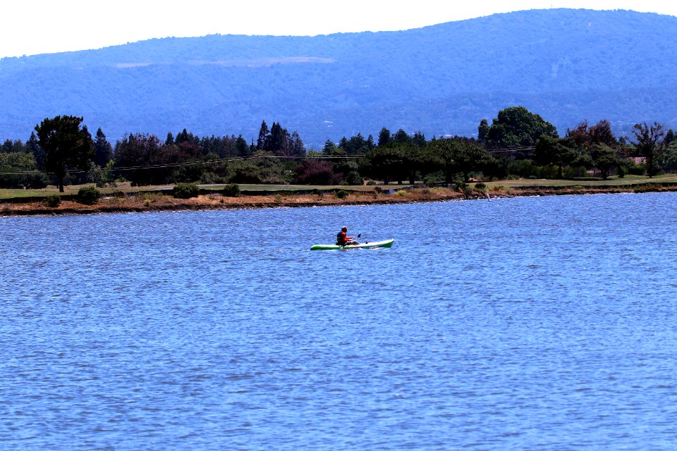 Shoreline Park Mountain View California IMG 2797