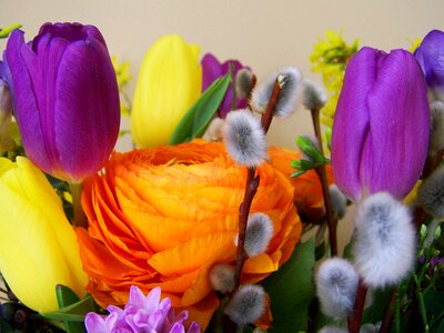 Bunch of flowers color cut flower