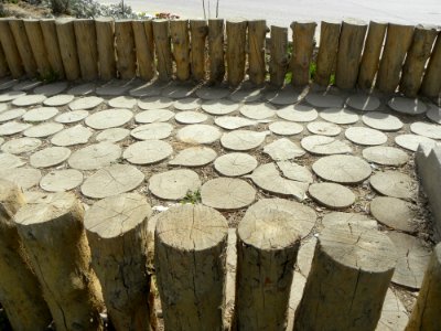 Sidewalk,Wooden pavement,Flowers 01