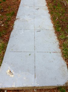 Sidewalk - Arlington, MA - DSC00480