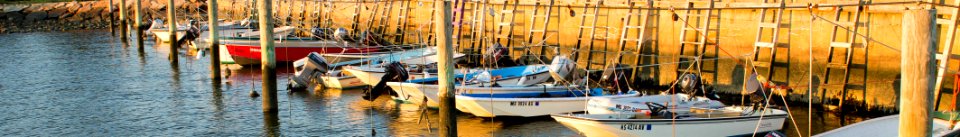 Shipyard Park (cropped) photo