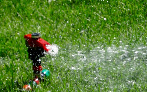 Turf landscape water
