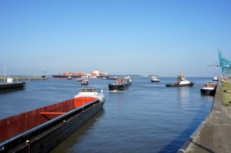 Ships waiting for the Zandvlietsluisen, Port of Antwerp pic2