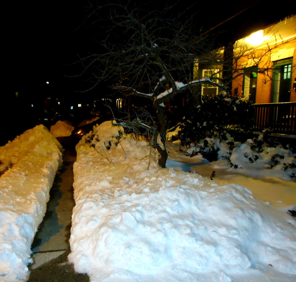 Shoveled sidewalk at night after a snowstorm