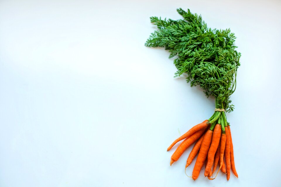 Fresh diet vegetarian