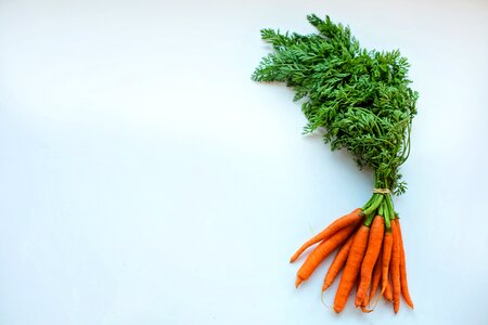 Fresh diet vegetarian