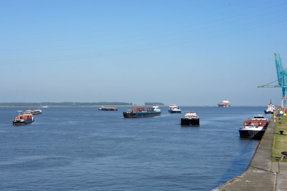 Ships waiting for the Zandvlietsluisen, Port of Antwerp pic1