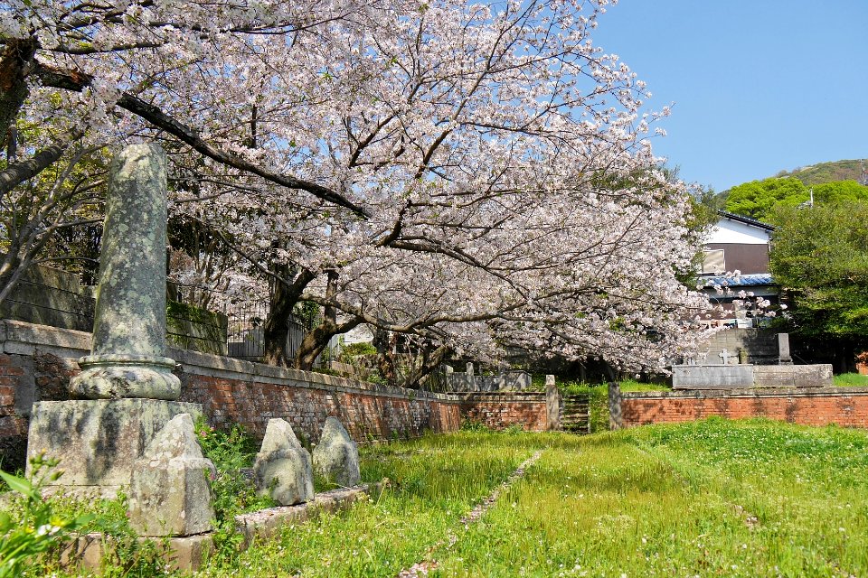 Shin Sakamoto international Cemetery Jewish area 2017