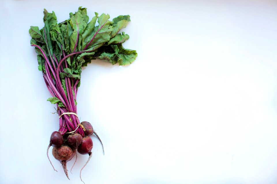 Fresh diet vegetarian