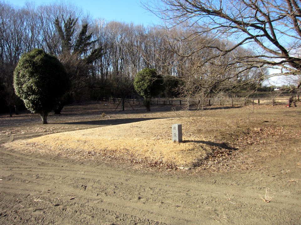 Shimotsuke-kokubunniji-ato kyouzou