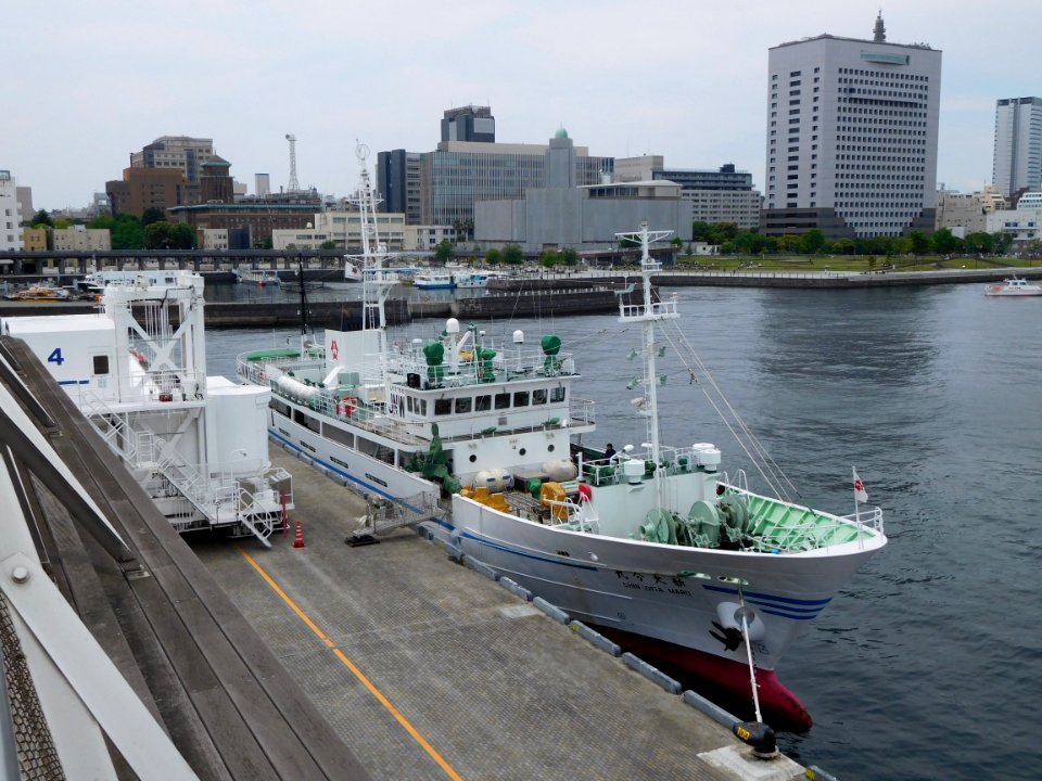 Shin-Oita maru a fishery training vessel of Oita Prefectual Board of Education at Yokohama Osanbashi 20180512