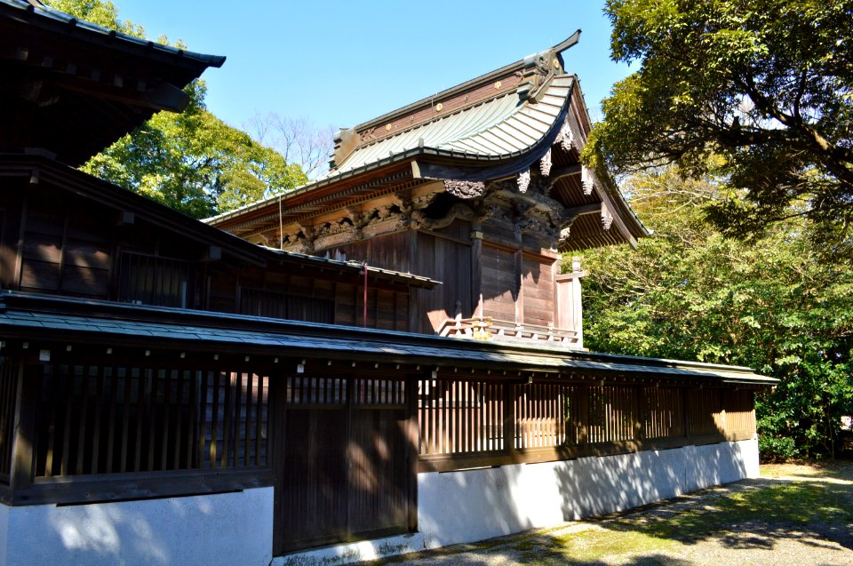 Shimaana-jinja, honden