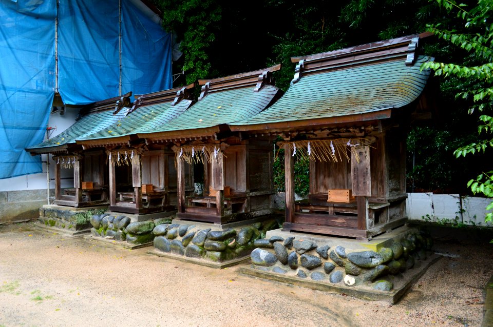 Shikaumi-jinja massha