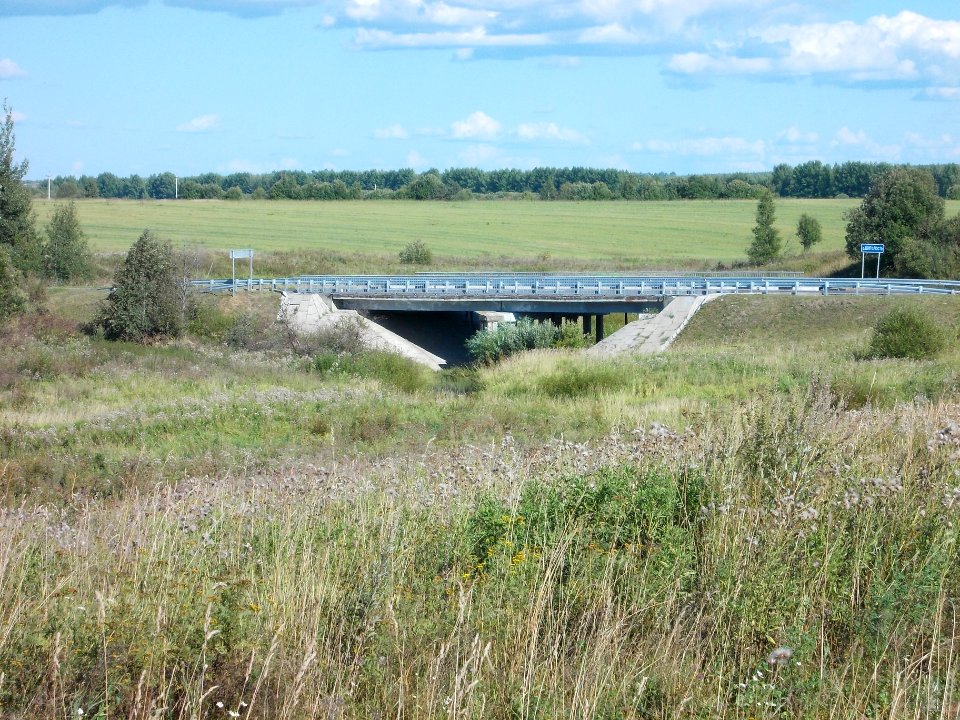 Shigolost Bridge 001