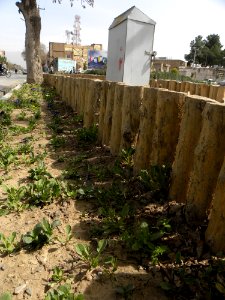 Sidewalk,Wooden pavement,Flowers 06