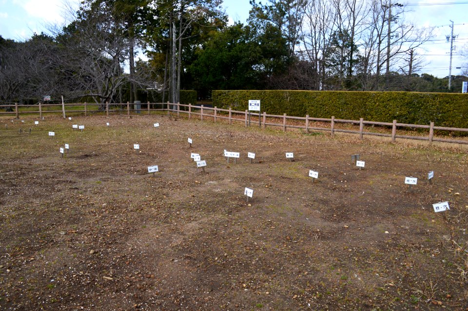 Shijimizuka Site, kaizuka-2
