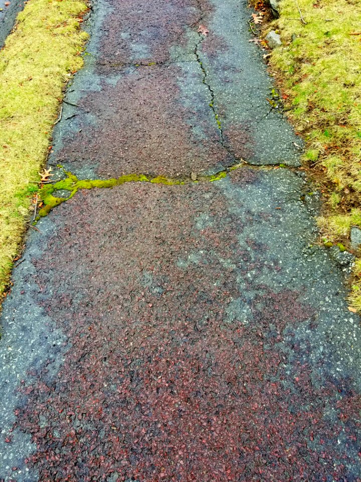 Sidewalk - Arlington, MA - 20200320 105100