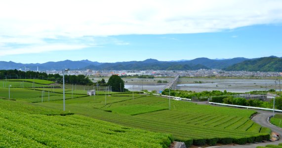 Shimada city from Makinohara Upland