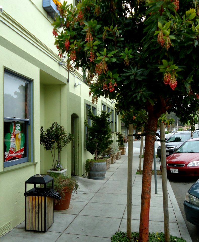 Sidewalk in Half-Moon-Bay California