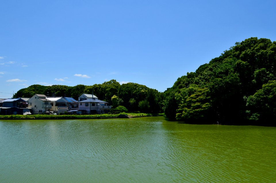 Shimaizumi Maruyama Kofun and Shimaizumi Hiratsuka Kofun-1
