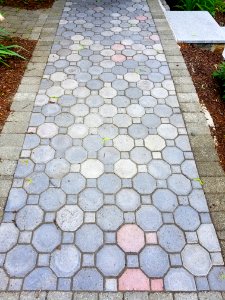 Sidewalk - Arlington, MA - 20200606 094120